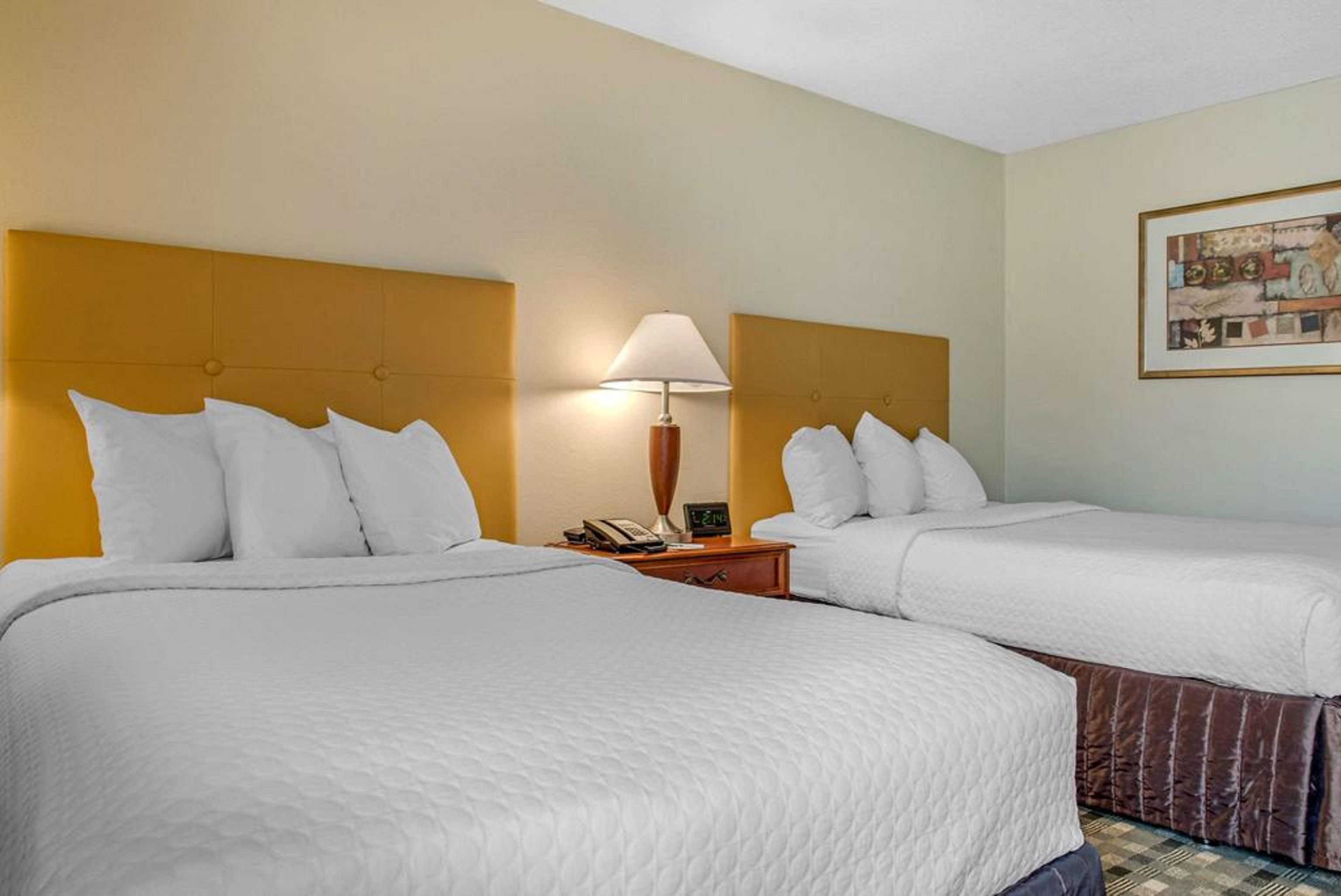 Quality Hotel Conference Center Cincinnati Blue Ash Ngoại thất bức ảnh
